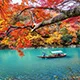 天天盈球